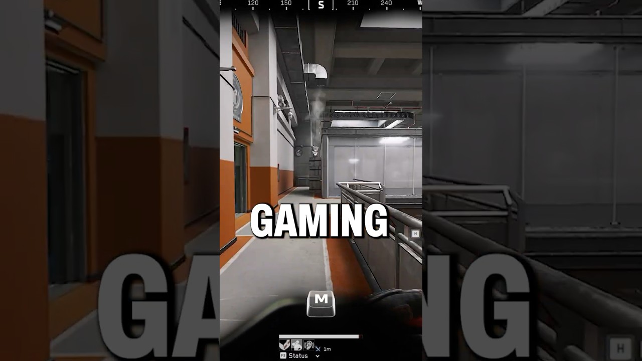 Tempest the LOOT ROOMBA  