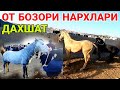 ЧИРОКЧИ ОТ БОЗОРИ НАРХЛАРИ 2022 CHIROQCHI MOL BOZORI NARXLARI.