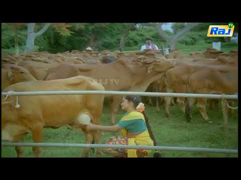 Cow Milking Actress Tamil