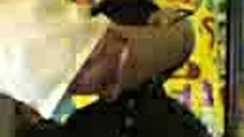 Victor's haircut