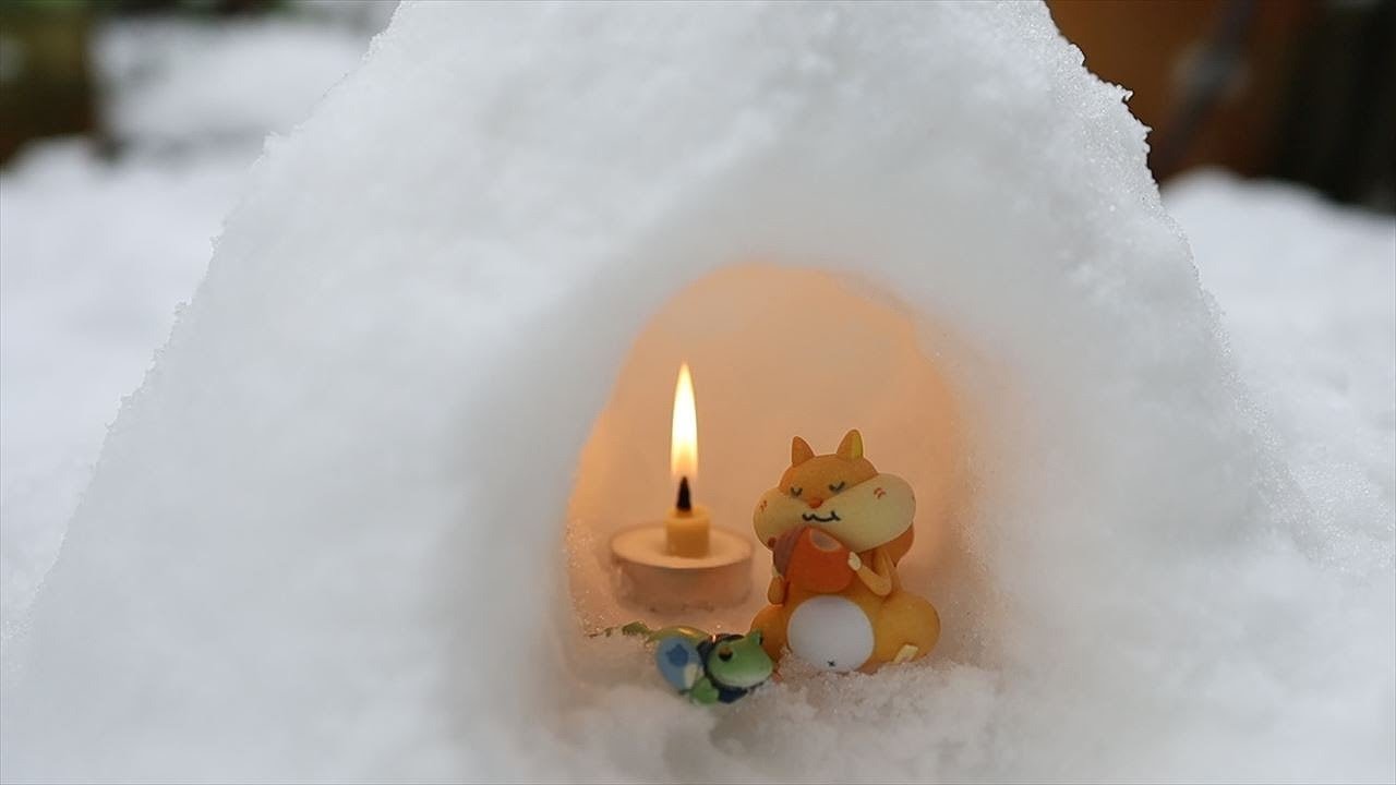 雪だるまと小さなかまくらを作るこりす｜Coris cooking - YouTube