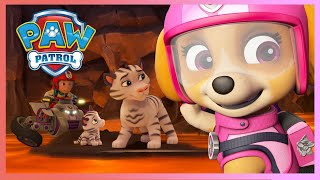 PAW PATROL - RESCUE KNIGHT PUPS SAVE BABY DRAGONS, TIGERS AND MORE!