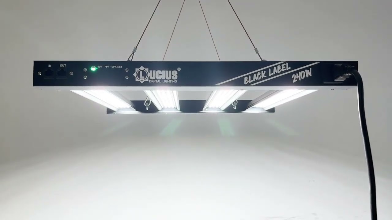 Lucius 240W Full Spectrum Led grow light