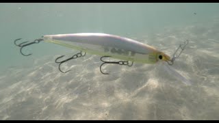 Rapala Shadow Rap FULL REVIEW with Underwater Action and fishing tips - My Lure Box