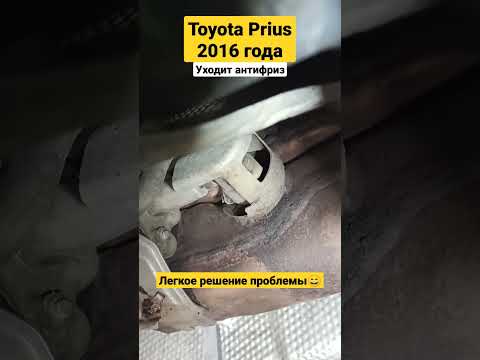 Toyota Prius уходит антифриз #toyota #prius #toyotaprius #toyotahybrid