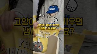 고양이는 정말로 냄새가 안날까? #고양이 #cat #고양이냄새 #좁쌀모래 #배변냄새
