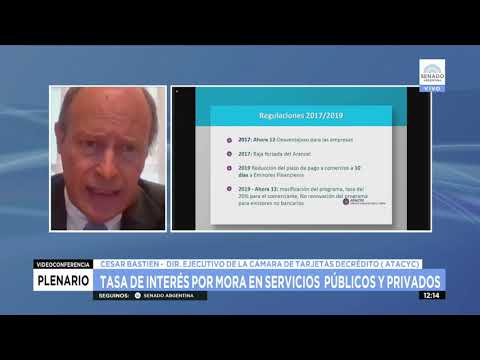 CESAR BASTIEN -  PLENARIO AS. CONSTITUCIONALES Y DERECHOS 13-07-21