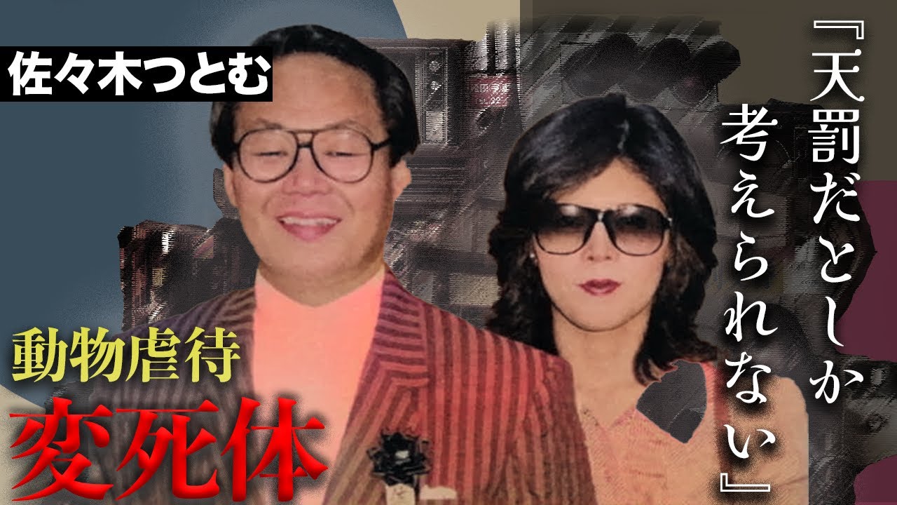 中野 美沙