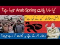 Project Like Arab Spring اصل دھاندھلی کس نے کی ہے؟