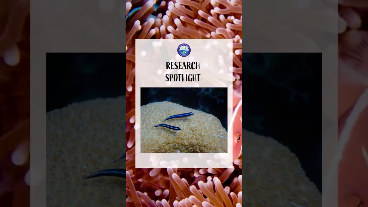 🔬✨Welcome back to Research Spotlight! 