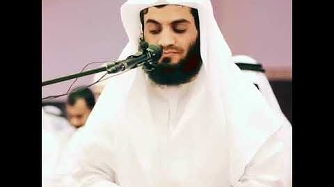 قرآن كريم بصوت رعد الكردي || حالات واتس اب دينية