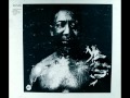 Muddy Waters - I Am The Blues