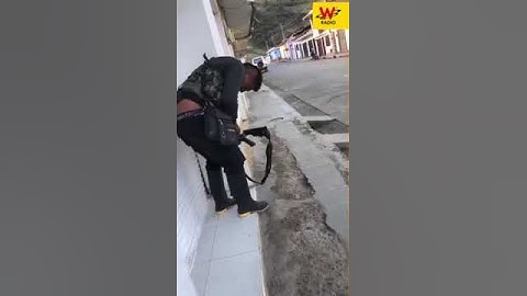 Combates en Silvia, Cauca, entre Ejército y disidencias: población quedó en fuego cruzado