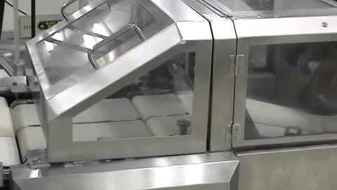 Rheon VM250 VM System