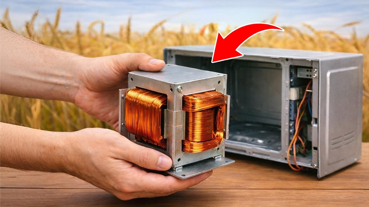 Не выбрасывайте старую микроволновку, не зная этого! Вы будете в шоке!