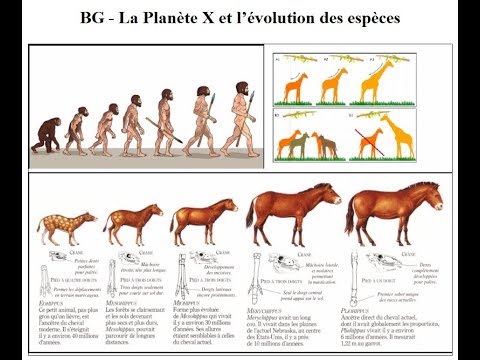 La Planète X et l'évolution des espèces ... - Le blog de Ben Garneau