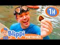 Blippi Procura Pérolas! | 1 HORA DO BLIPPI! | Vídeos Educativos em Português