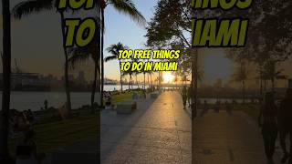 🌇 Top Free Things To Do in Miami