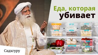картинка: Как питание влияет на наше восприятие и энергию