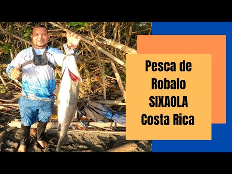 Costa Rica Robalo Pesca de Robalo Barra Sixaola Costa Rica(2022) - YouTube
