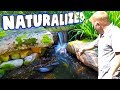 How to Naturalize Ponds and Waterfalls