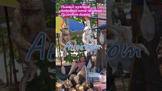Про обезьянку🙂 #анекдот #прикол #шутка