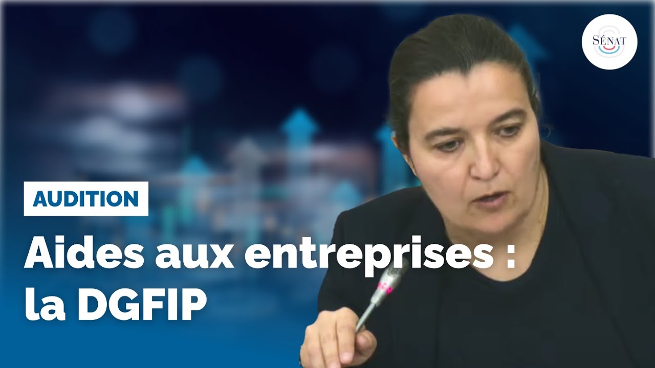 Aides aux entreprises : audition de la DGFIP