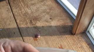 Rainy Day Relic Restoration_0001.wmv