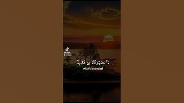 سورة النساء #قران_كريم #اكسبلور #دويتو #duet #دويتومع #الرحمن #دويت #لايك #تيك_توك #حالات_واتس