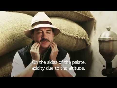 Wideo: Kiedy powstała kahlua?