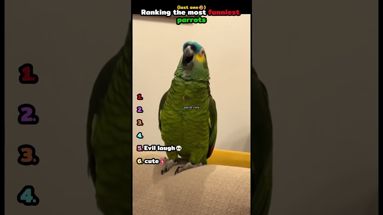 Ranking the most funniest parrots🦜🤣 #funny #trending #parrot #shorts #youtube #fyp #usa