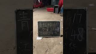 melodramatic letter observed dancing magazine in park