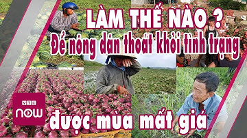 Được mùa mất giá - làm cách nào thoát khỏi tình trạng này? Cuộc sống nhà nông 24h | Tin tức 24h