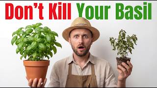 I Almost Killed My Basil. Then I Learned This...
