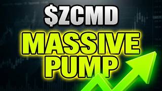 $ZCMD: Narrowed Net Loss, High Short Interest & 840% CTB Fuelled Speculative Buying.