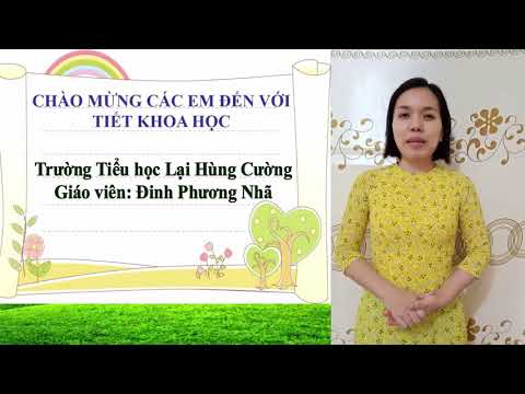 22/04/2020 lhc_khoa học 5 cơ quan sinh sản của thực vật có hoa