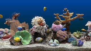 Marine Aquarium 3 Fading Background (4K)
