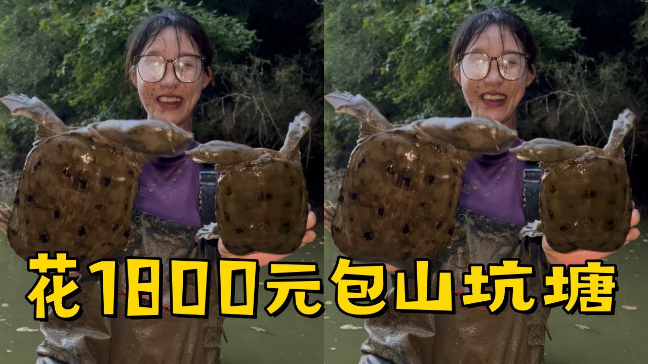 小姨子花1800元包下山坑深泥塘，喊上小宝哥抓鱼最后你们觉得值吗？