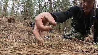 Gold Prospecting Creswick Pine Forests (Gold and Rubbish) (Episode 62)