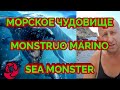 🇪🇦 Я УВИДЕЛ МОРСКОЕ ЧУДОВИЩЕ/I Saw the Sea Monster/Vi al monstruo marino!