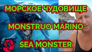 🇪🇦 Я УВИДЕЛ МОРСКОЕ ЧУДОВИЩЕ/I Saw the Sea Monster/Vi al monstruo marino!