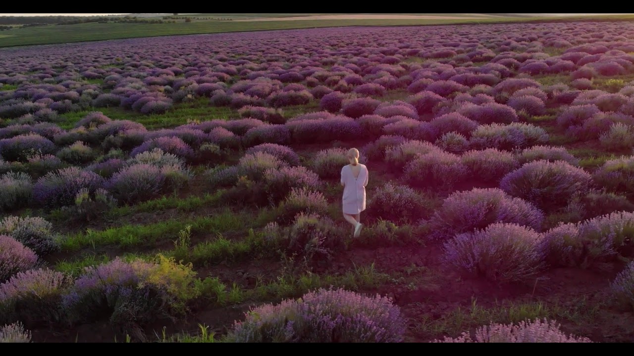 peace concept @ bodytox detox your world