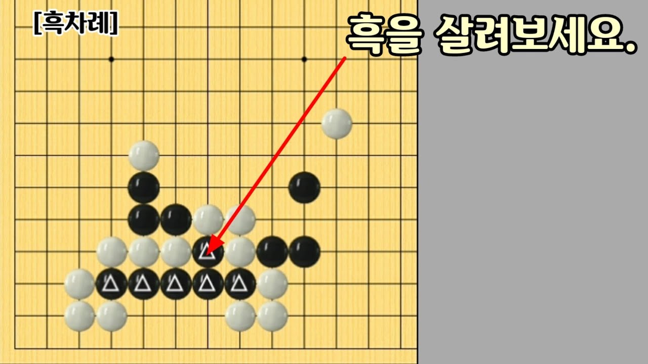 [오늘의 문제]2021-11-5 / 흑을 살려보세요.