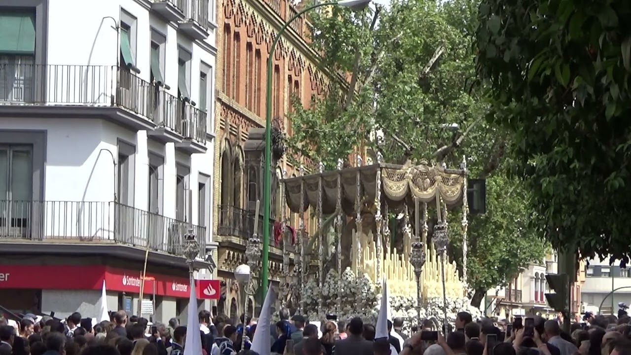 Virgen de los Ángeles de de Los Negritos 2023