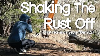 Shaking The Rust Off | Hoover Wilderness May 2024