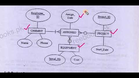 ER-Diagram Project 7 | DBMS \ BSc\ADP \BS MSC Computer science