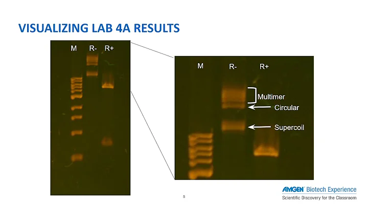 Visualizing Lab 4/4a Results