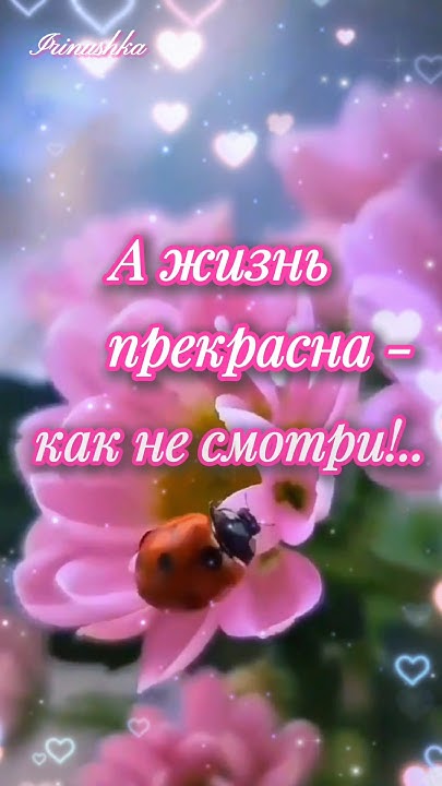 Приятного путешествия в новый день! - YouTube