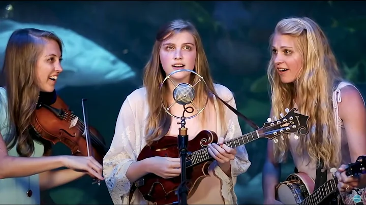 Wade in the Water - The Petersens (LIVE)