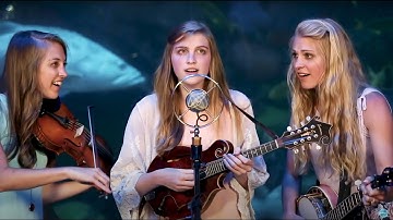 Thumbnail of Wade in the Water - The Petersens (LIVE)